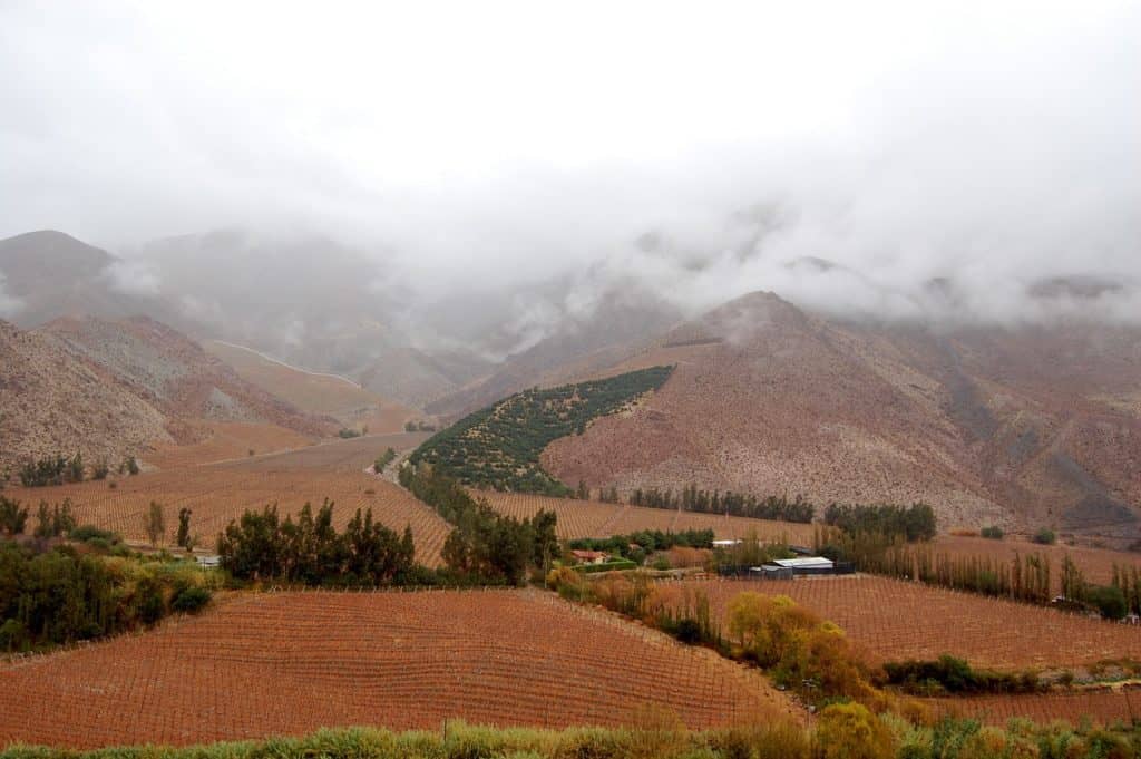 A view of brown rolling hills and fog.