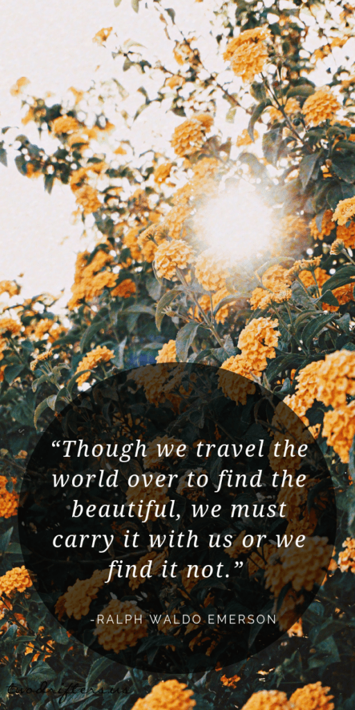 White text on a black circle overlaid on an image of yellow flowers that says, “Though we travel the world over to find the beautiful, we must carry it with us or we find it not.” - Ralph Waldo Emerson