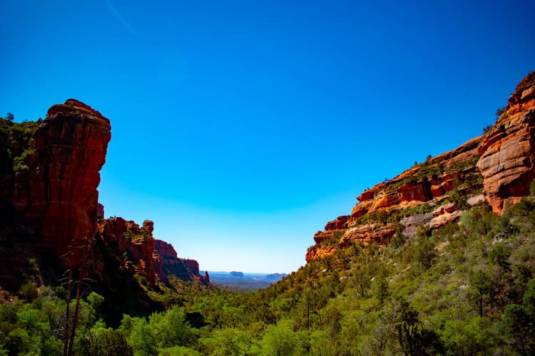 A large canyon lined by red rocks under a clear blue sky.