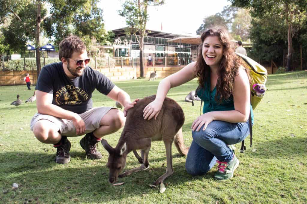 A couple smiles while petting a kangaroo.