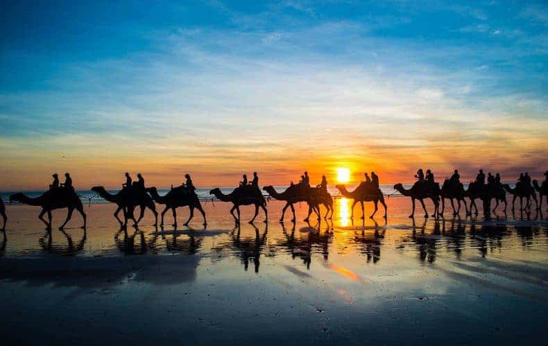 A group of people ride camels along the water as the sun sets.