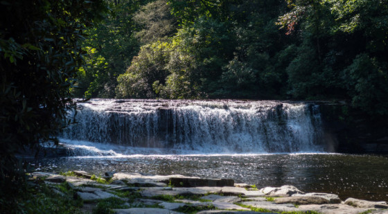 A waterfall in the forest.