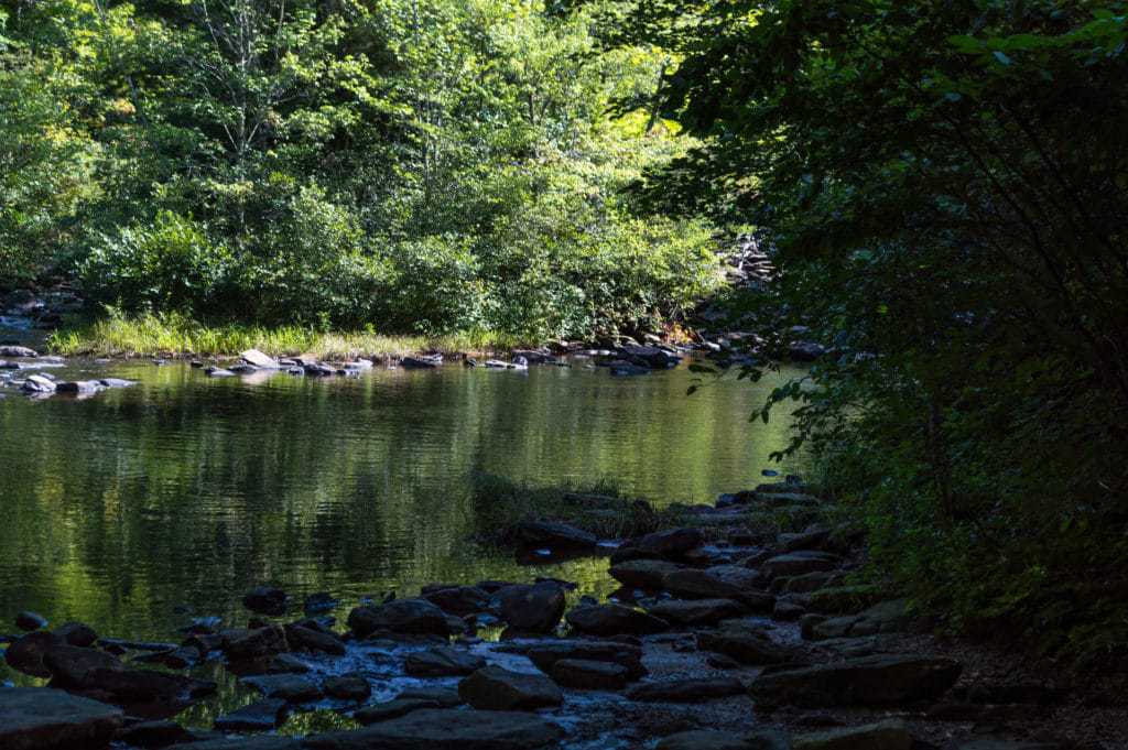 A calm lake surrounded by forested trees.