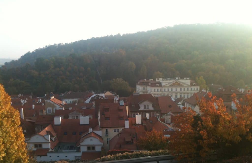 View of a town with red roofs and a forest.