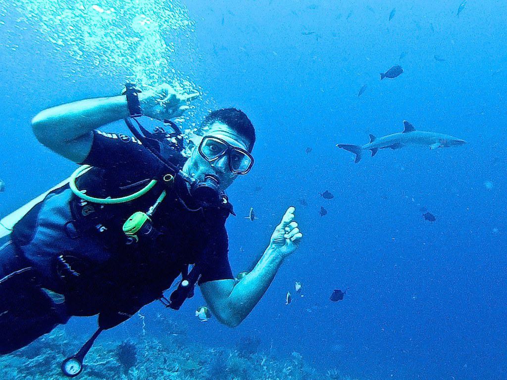 A man is scuba diving underwater with fish swimming around him. 