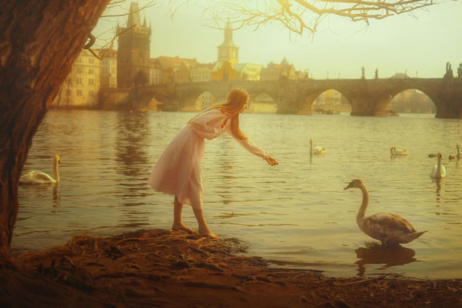 A woman in a white dress leans over to give food to a swan by the water.