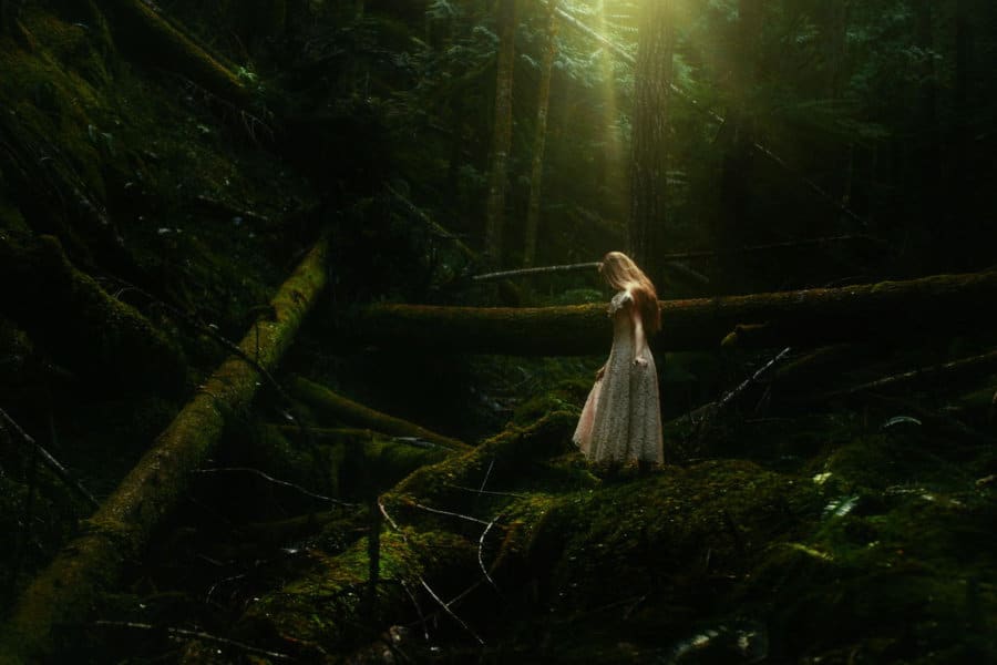 A woman stands in a white dress surrounded by a dark and moody forest.