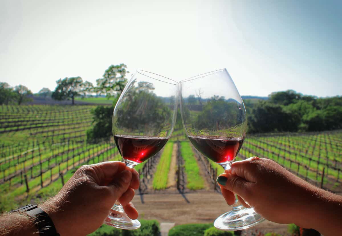 Close up of two wine glasses being toasted, with vineyards behind.