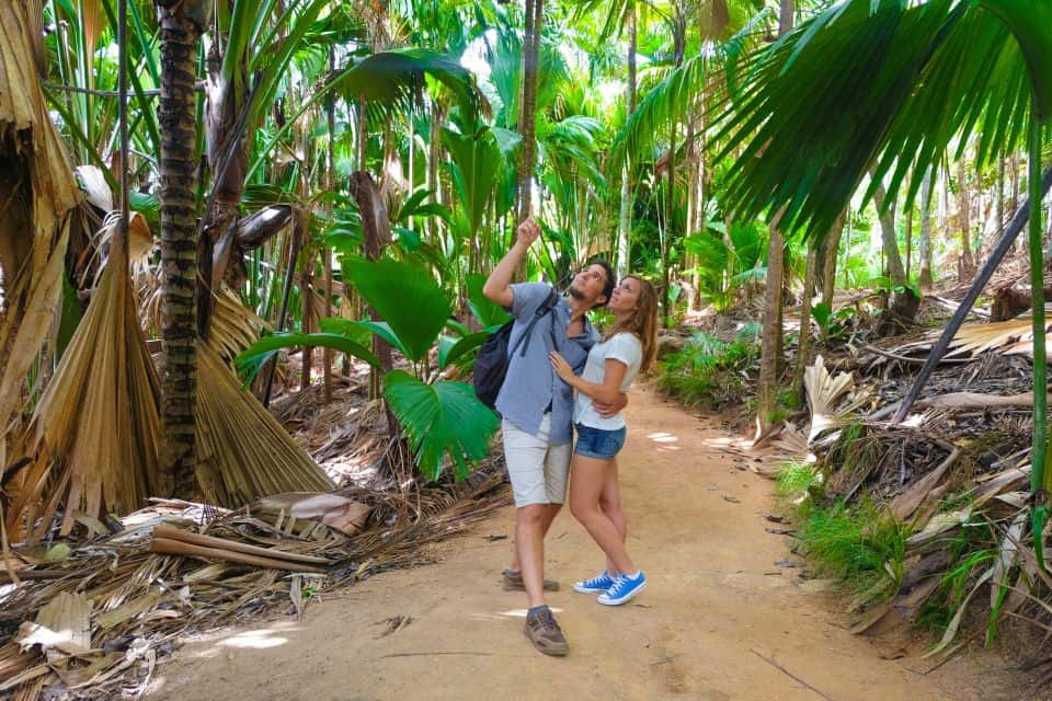 A couple poses in the rainforest.