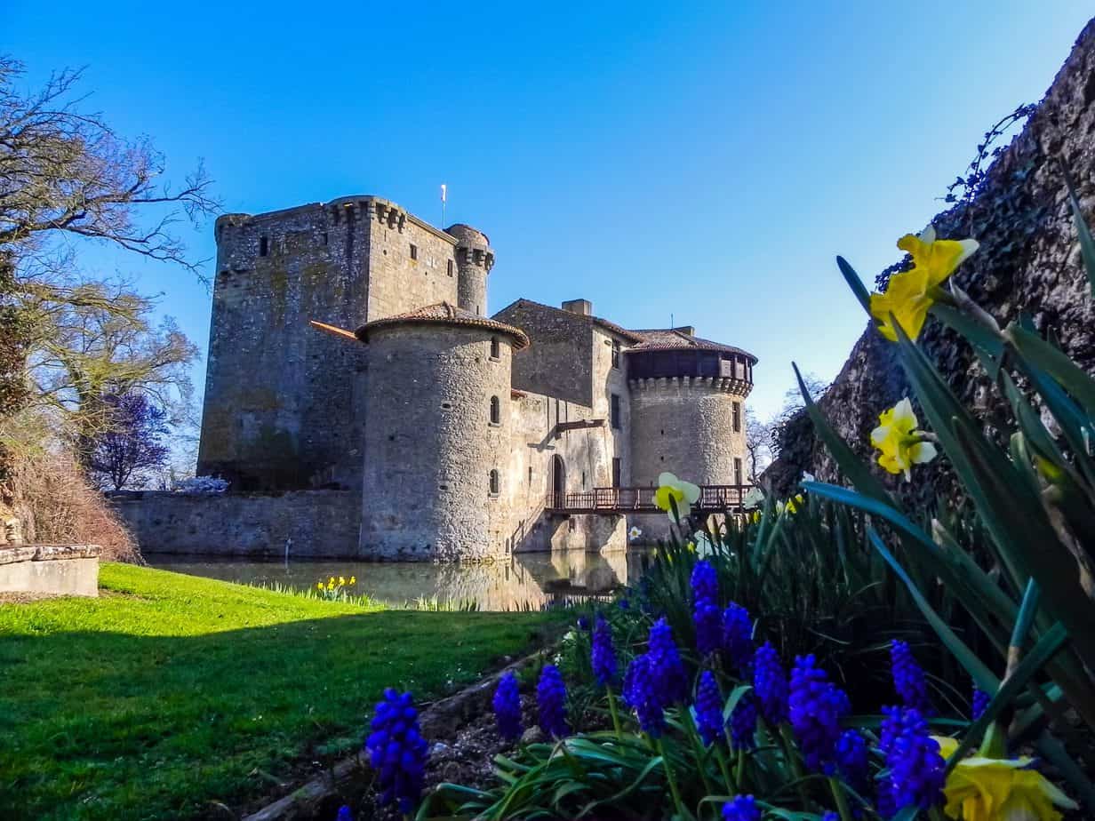 A castle like building with a purple flowers in the foreground under a blue sky.