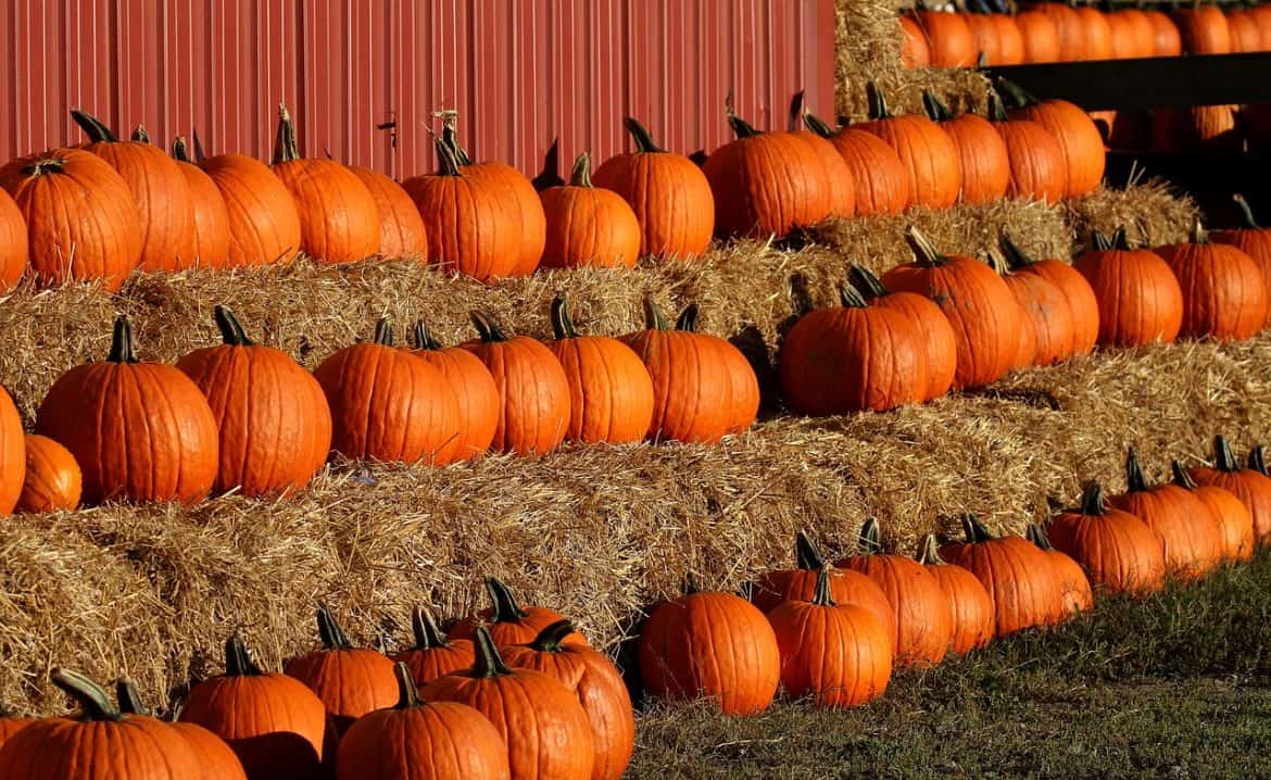 Fall in New England The Best Towns, Orchards, Farms, Foliage, & Festivals