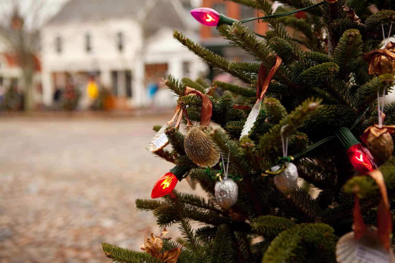 Close up of Christmas decorations on a tree outdoors.