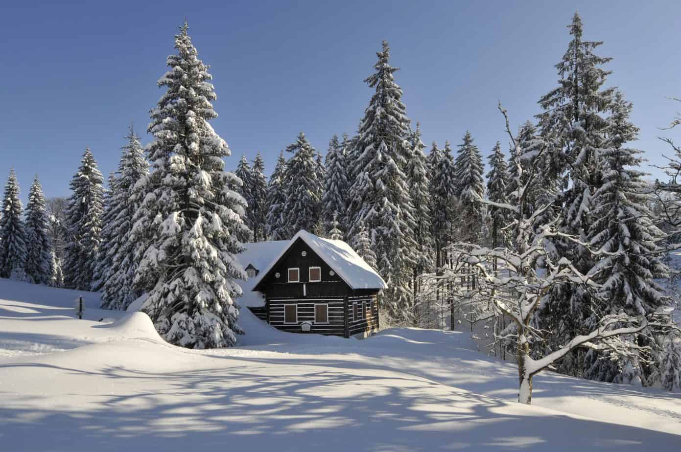 A cabin in a forest is covered in snow.