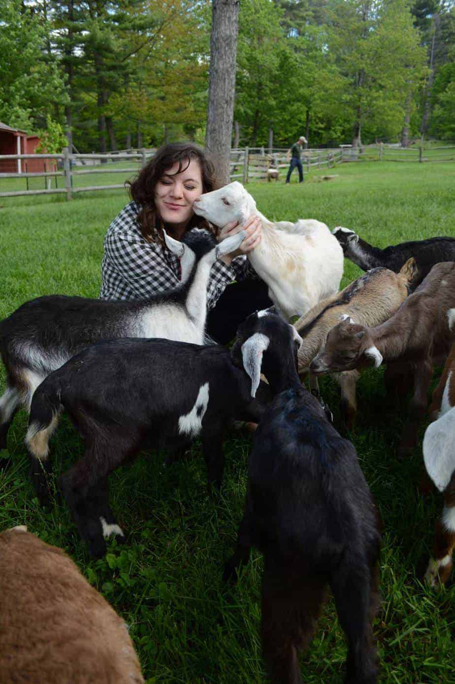 58. cuddle baby goats at friendly farm in dublin, nh.