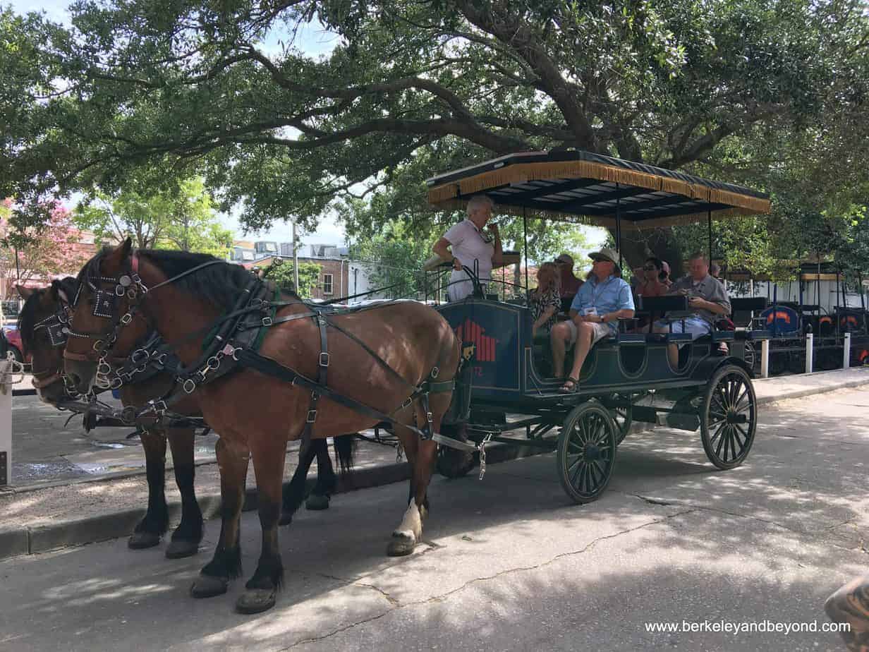 A horse pulled carriage sits in the shade with people on it.