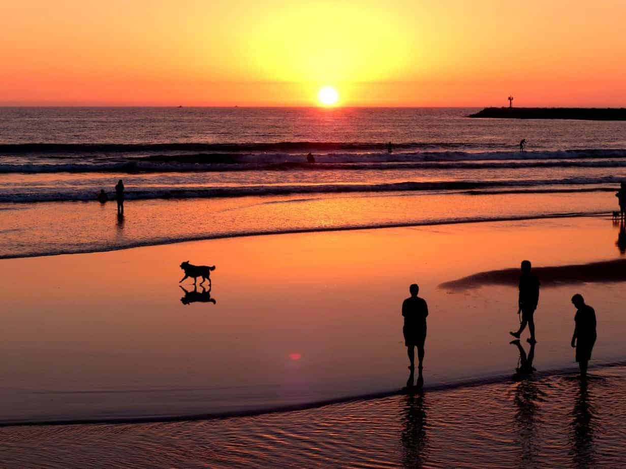 People walk on the beach at sunset with their dog.