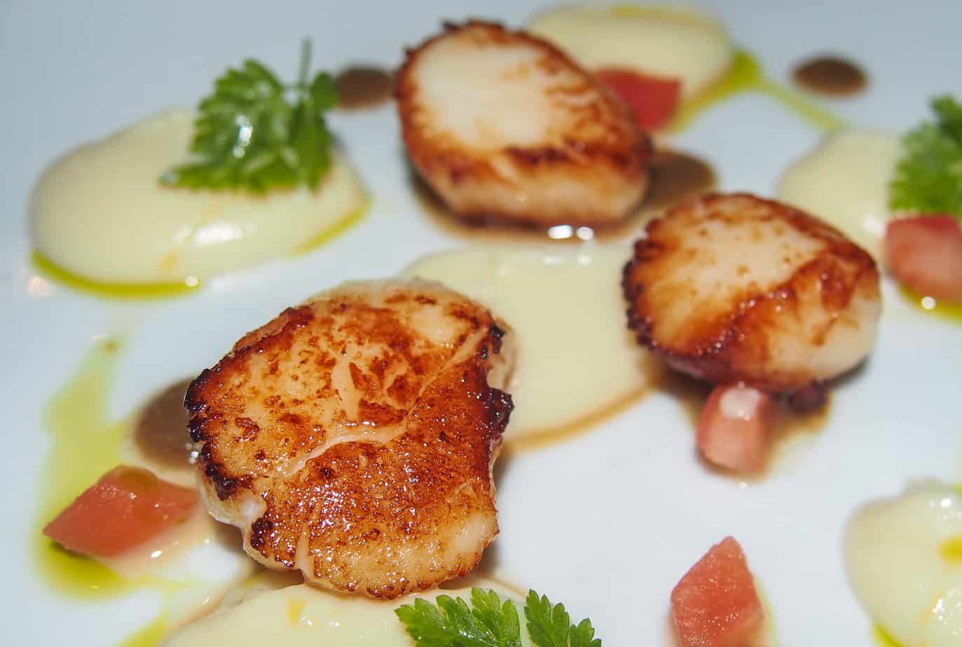 Scallops are on a white plate.