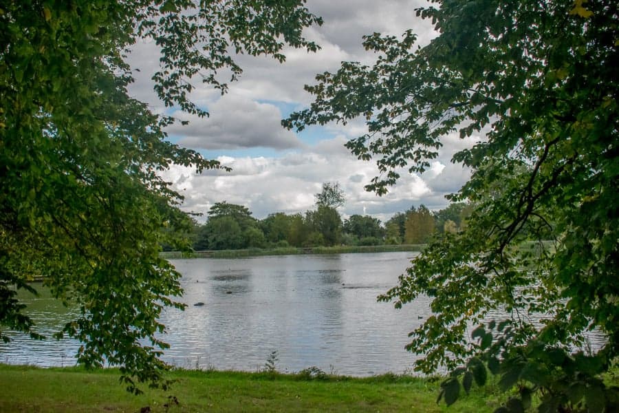 A beautiful pond in the middle of a large garden. 