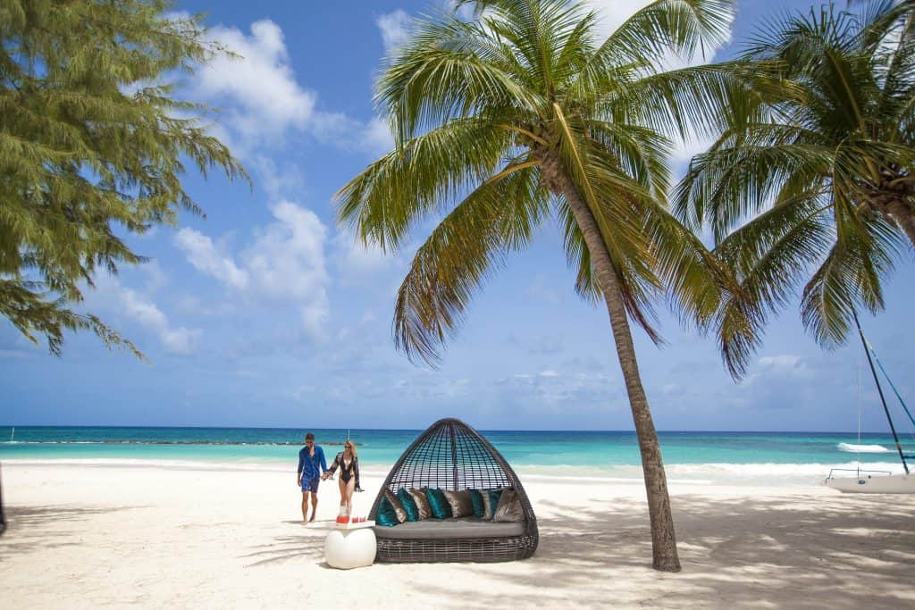 A small outdoor couch under a palm tree on the beach. 