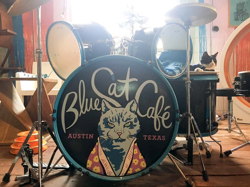 A drum kit says Blue Cat Cafe Austin Texas.