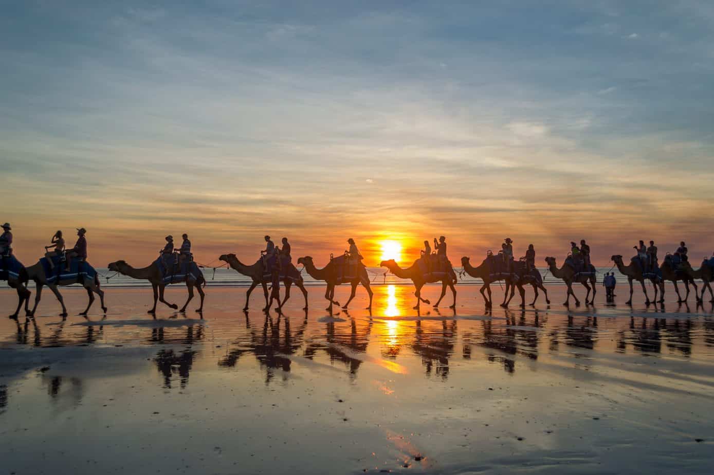 A group of people ride camels on the beach at sunset
