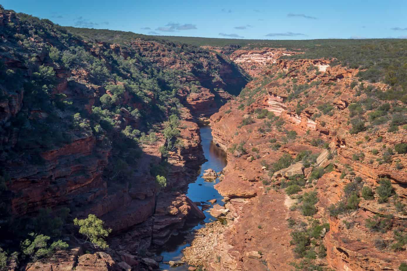 A river breaks through a red canyon covered in grass.