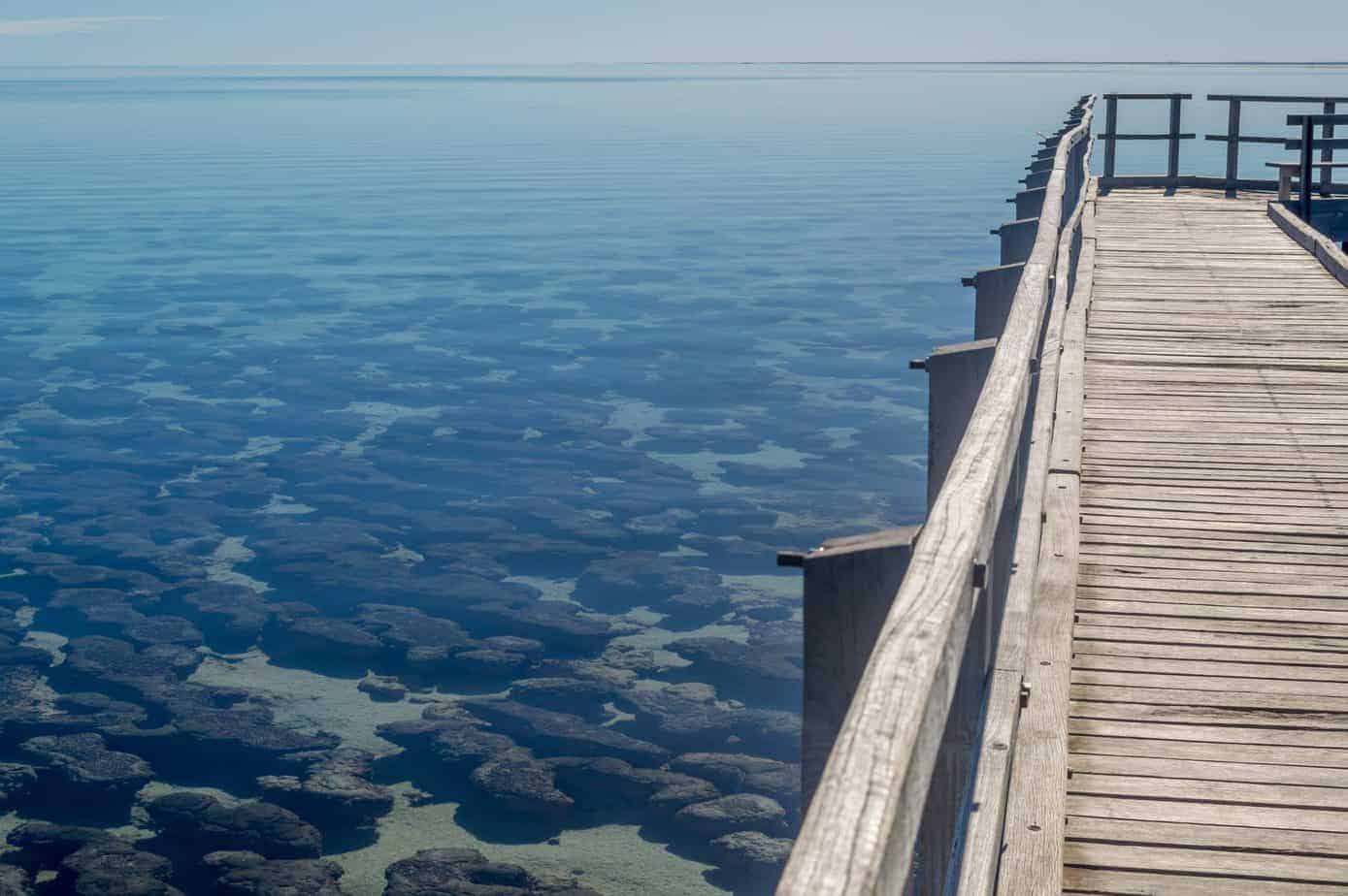 A wooden pier next to clear water with rocks on the bottom