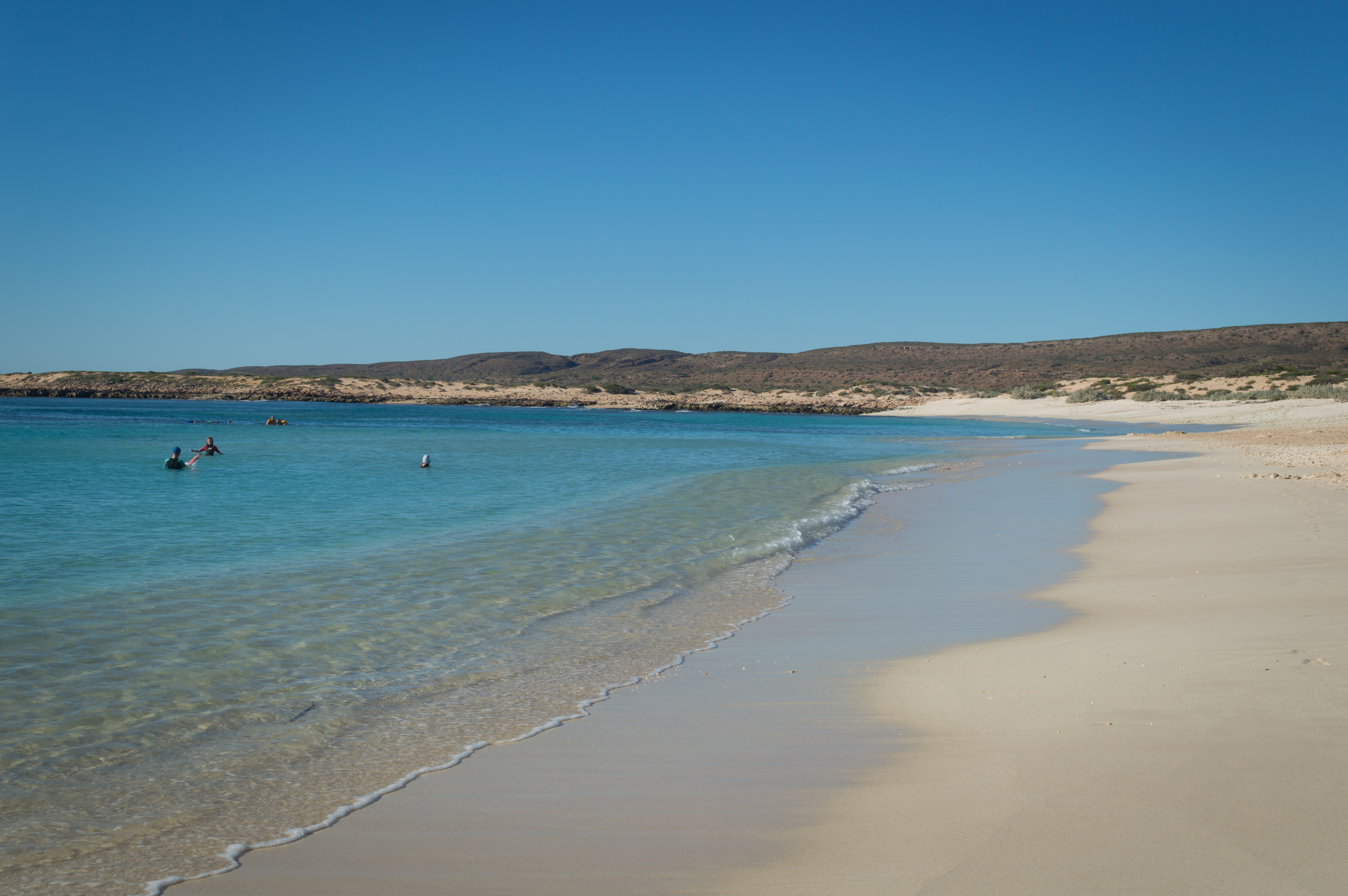 Families play in shallow ocean water on the beach