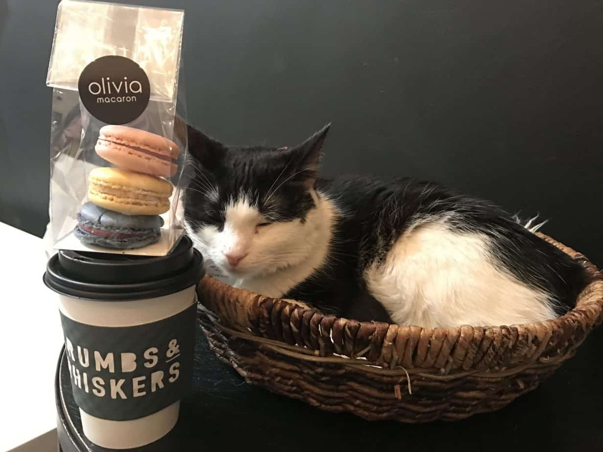 A black and white cat is in a wicker basket next to a coffee cup and macaroons.