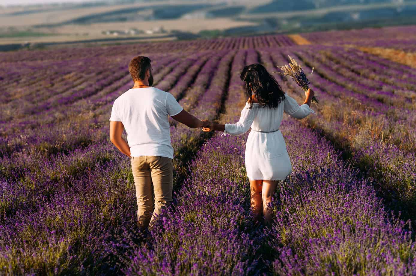 A couple holds hands while walking through a lavender field. She wears a white dress.