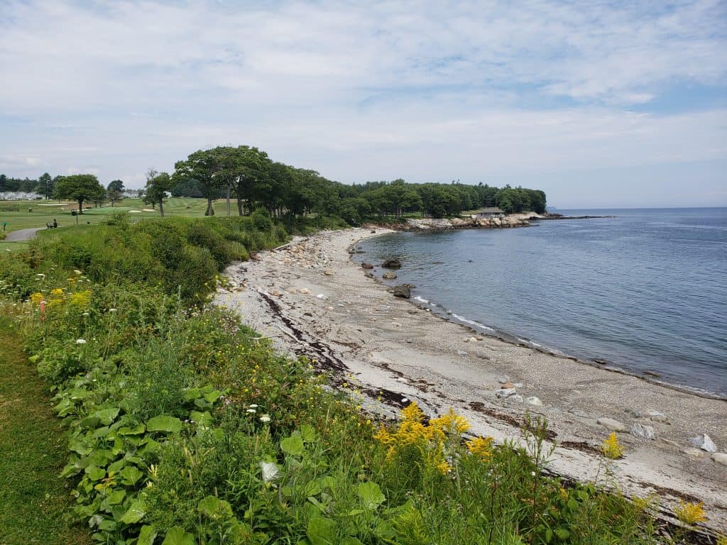 An empty beach with greenery next to it.