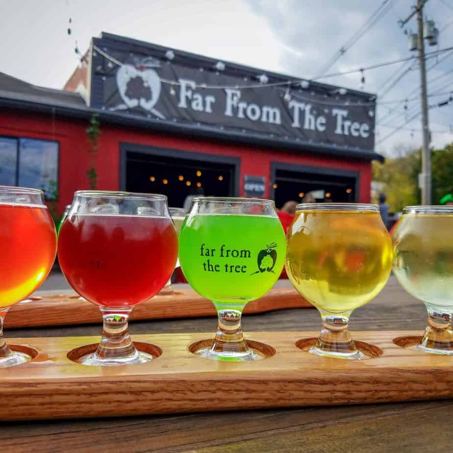 A flight of drinks at a place called Far From The Tree.