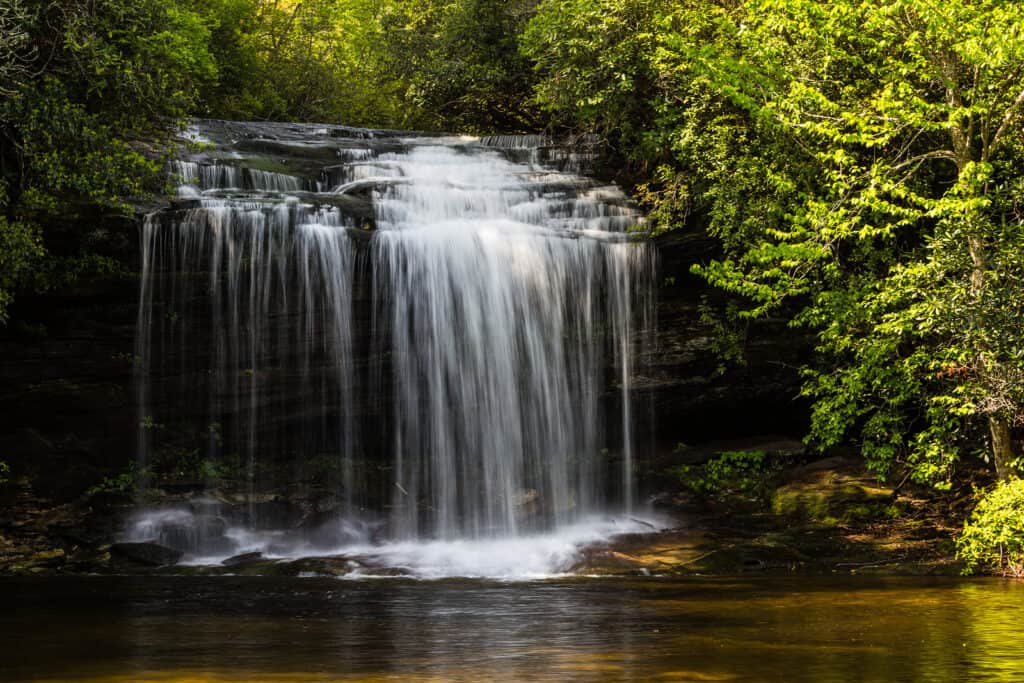 A waterfall cascades down in a forest into a body of water.