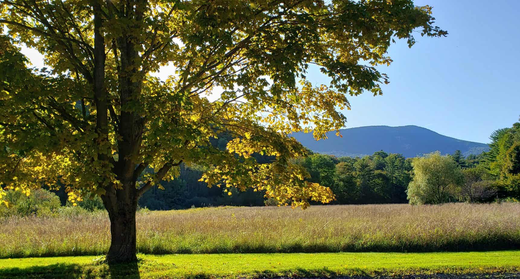 15 Terrific Things to Do in Manchester Vermont (and Nearby!)