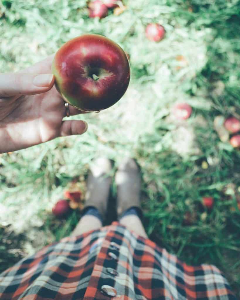 Closeup of someone holding an apple