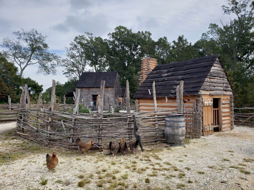 Chickens walk around outdoors next to a historic set of buildings.