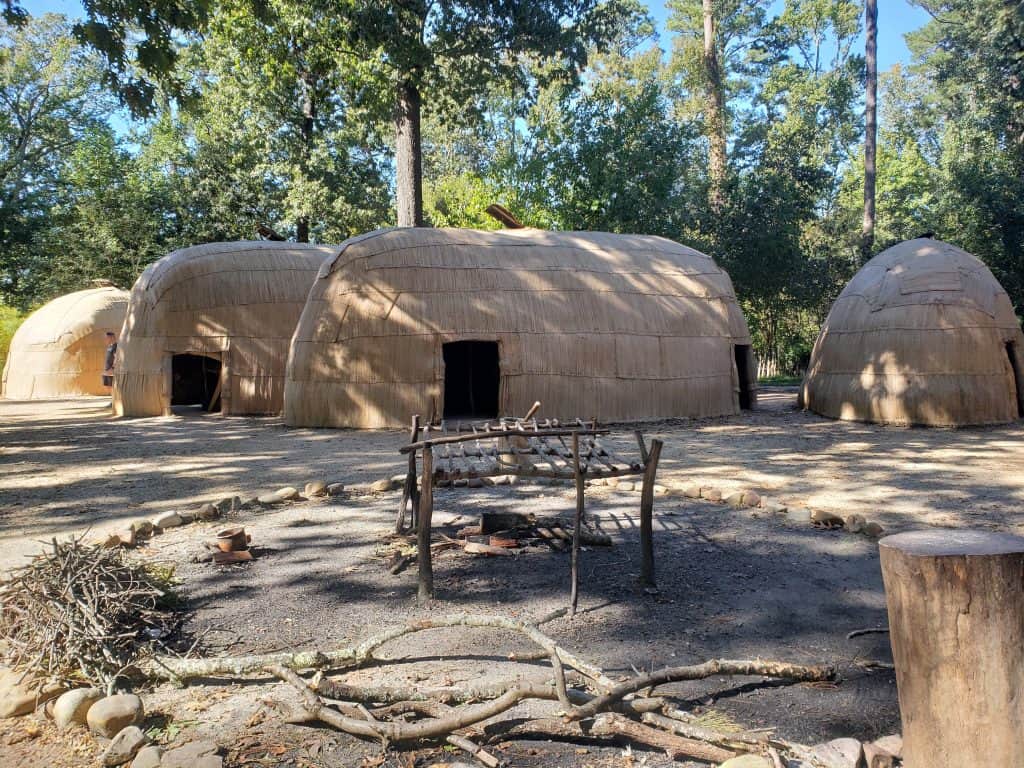 Historic dome-shaped buildings are surrounded by a forest.