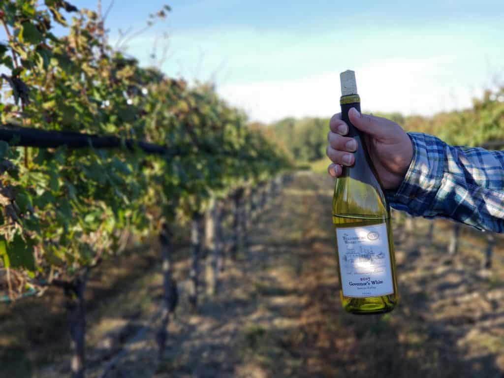 A man holds a wine bottle with a vineyard behind.