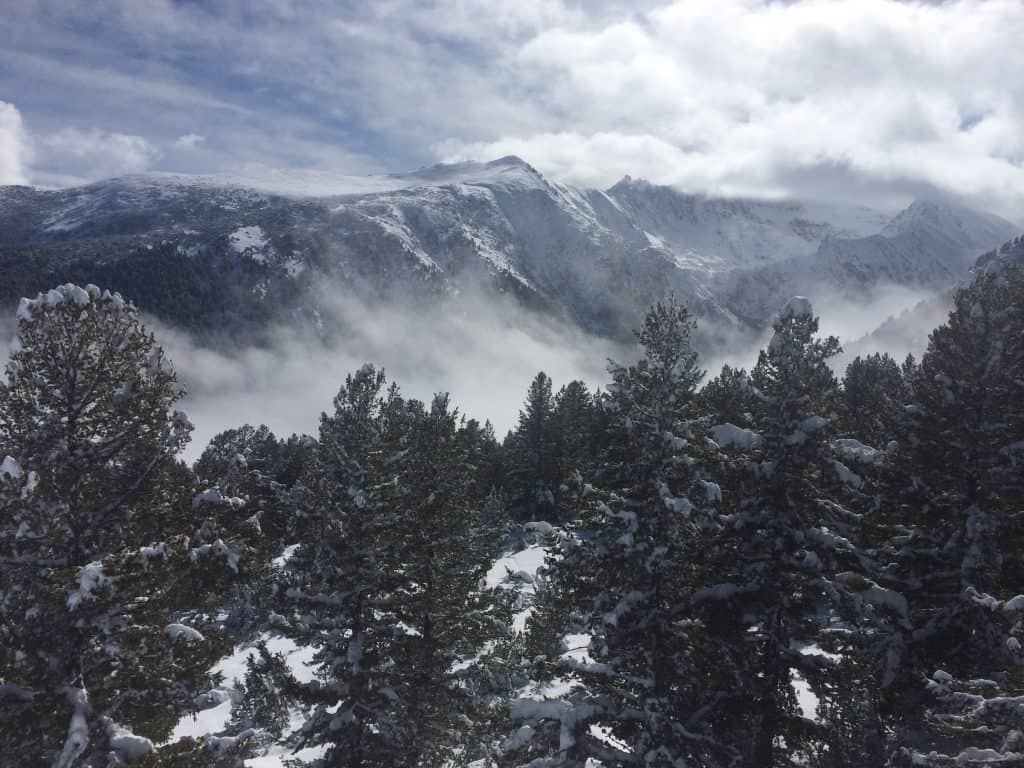 A wintery landscape with trees in the forefront and snow-covered peaks in the background.