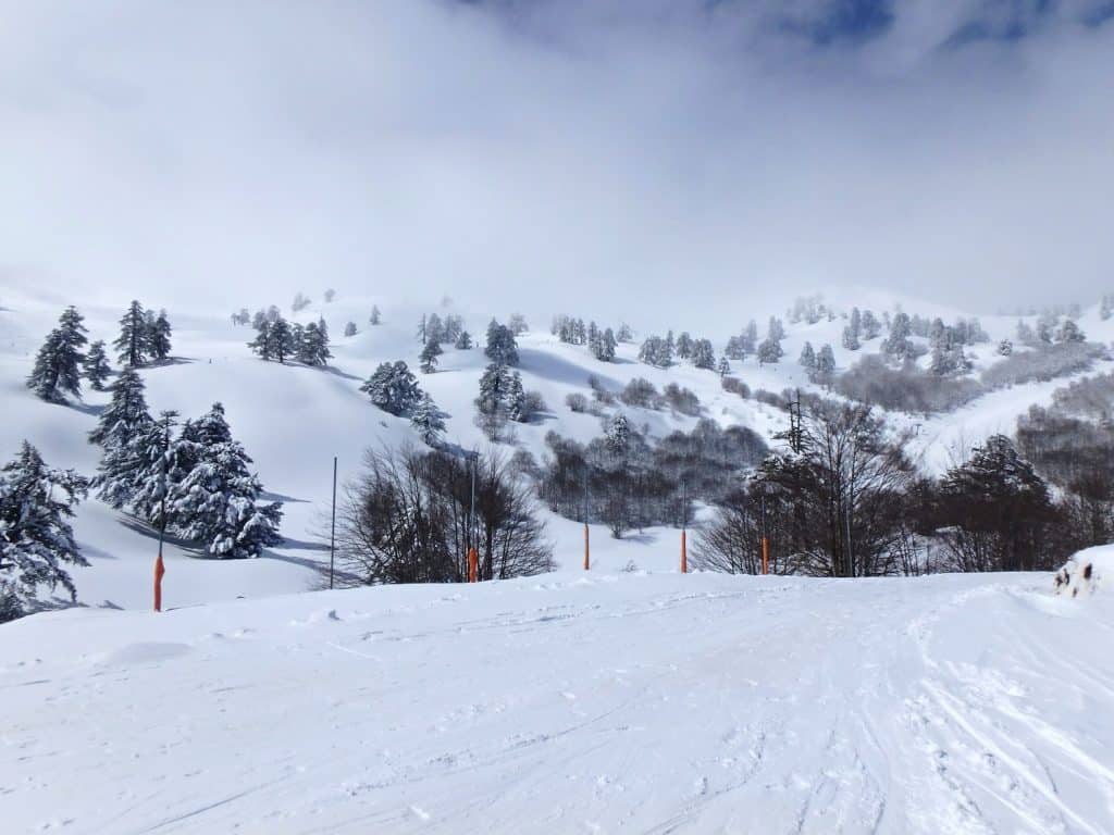 Empty ski runs covered in snow on a foggy day at a ski resort.