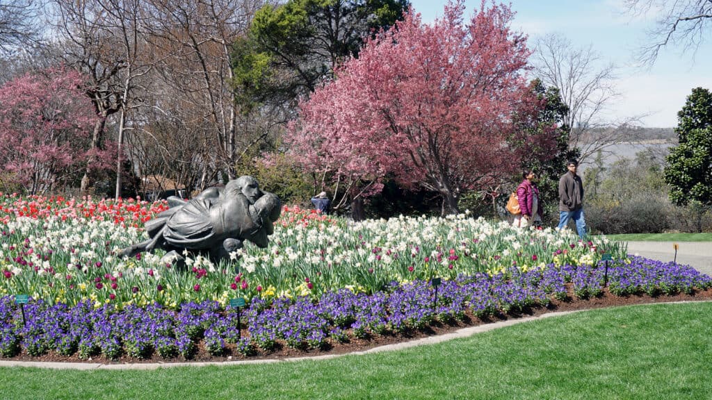 People walking around a garden with flowers.