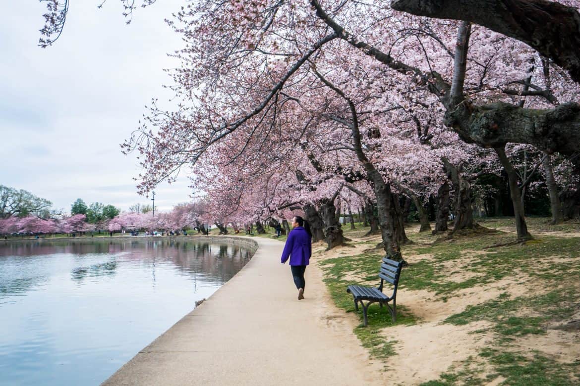 9 Romantic Things to Do in DC for Couples