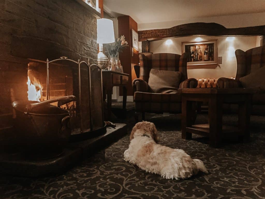 A dog relaxes on a rug in a cozy sitting room near a fireplace.