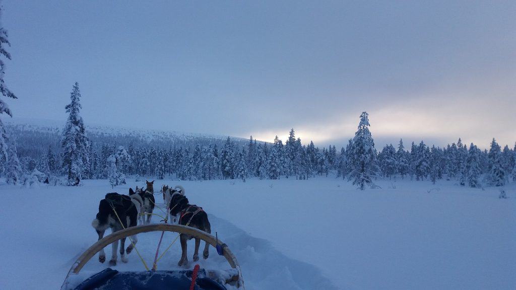 Dogs pull a sled in a snowy landscape under a grey sky.