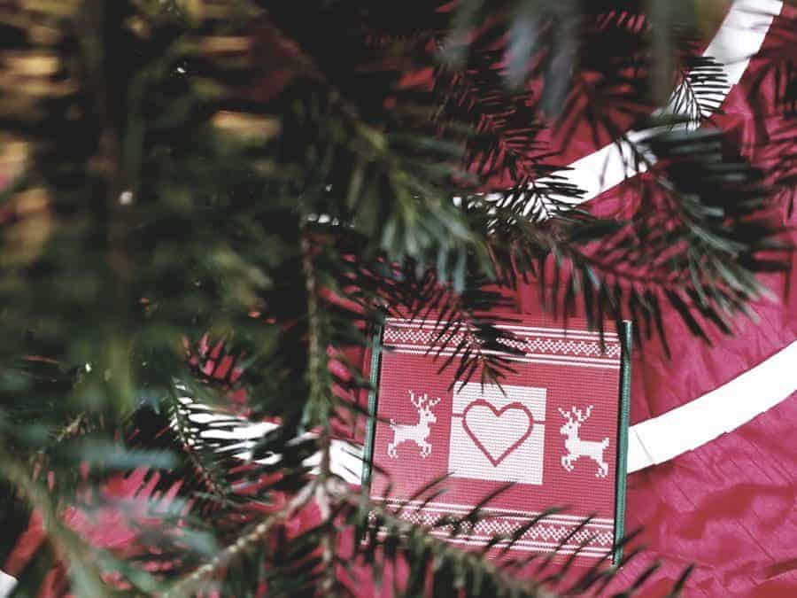 Close up of a red holiday box underneath a Christmas tree.