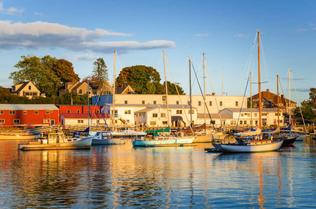 Boats floating in a harbor with buildings behind them under a blue sky.