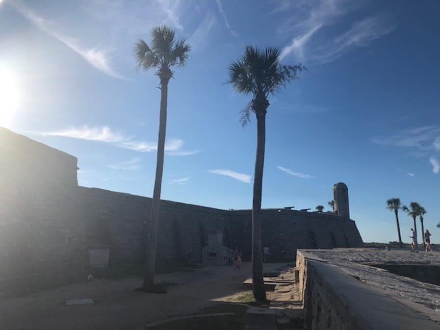 People walk around next to palm trees and ruins.