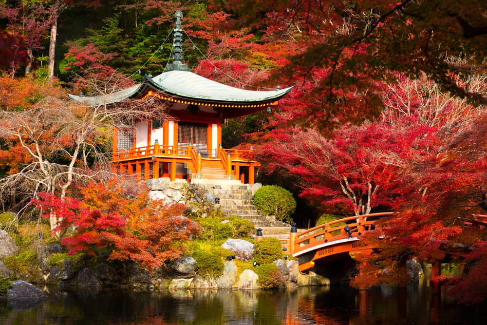 7 Incredibly Romantic Things to Do in Tokyo
