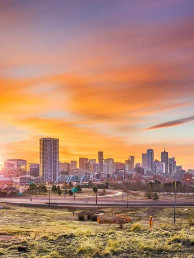A city skyline with greenery in the foreground under a pink, orange, and purple sky.