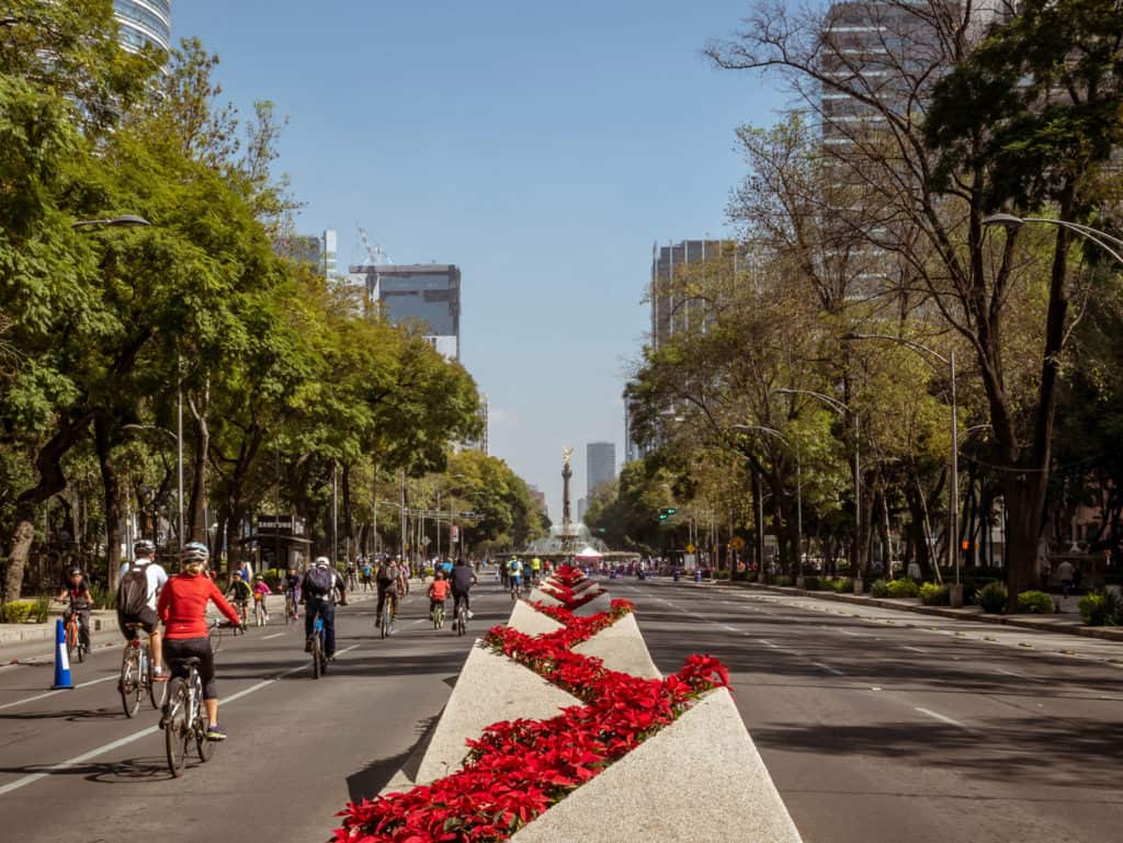 A group of people riding bikes down a street.